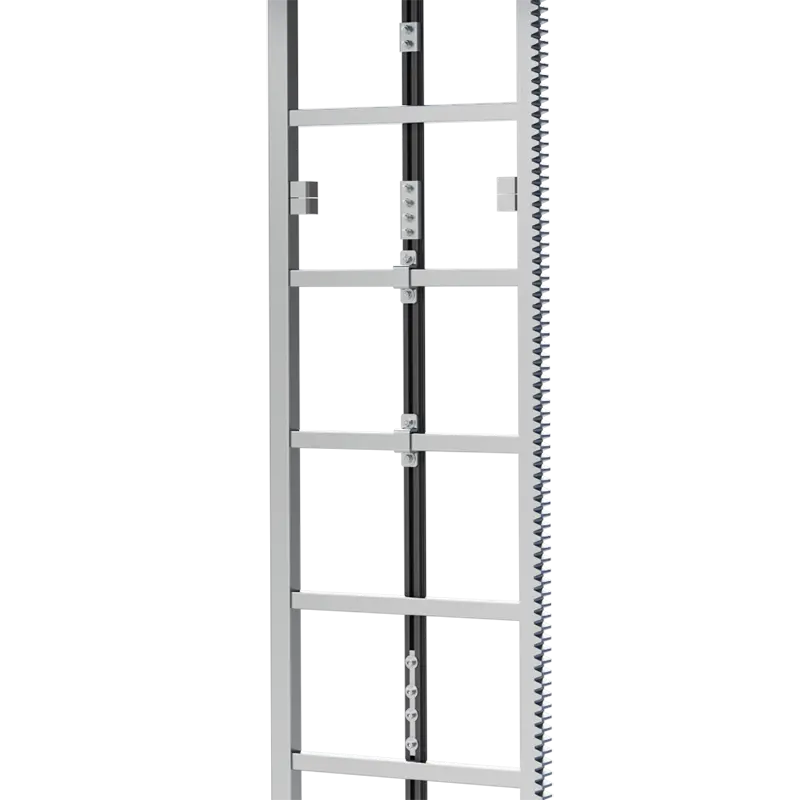 Rack and Pinion Ladder